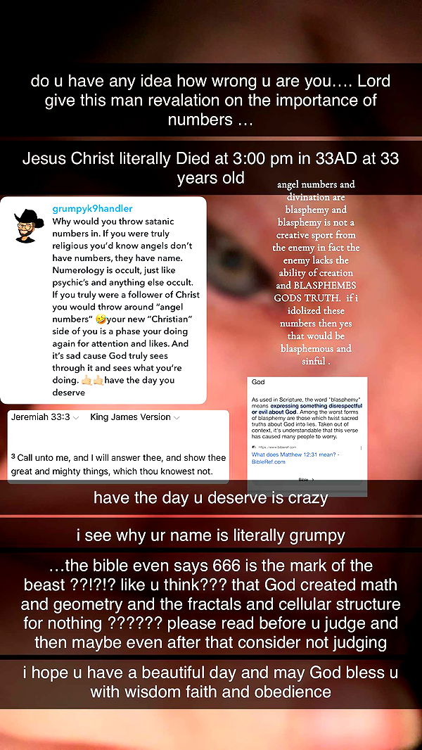 endangerdreamer image ~ Altpins