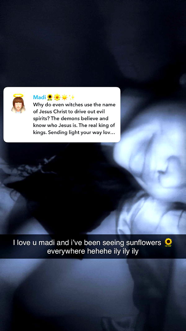 endangerdreamer image ~ Altpins