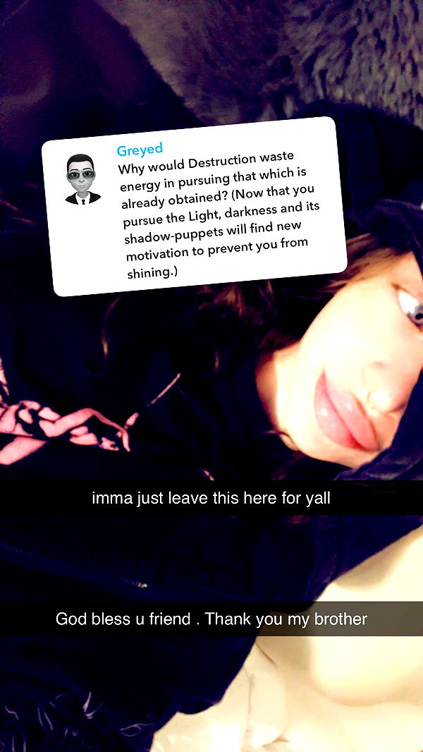 endangerdreamer image ~ Altpins