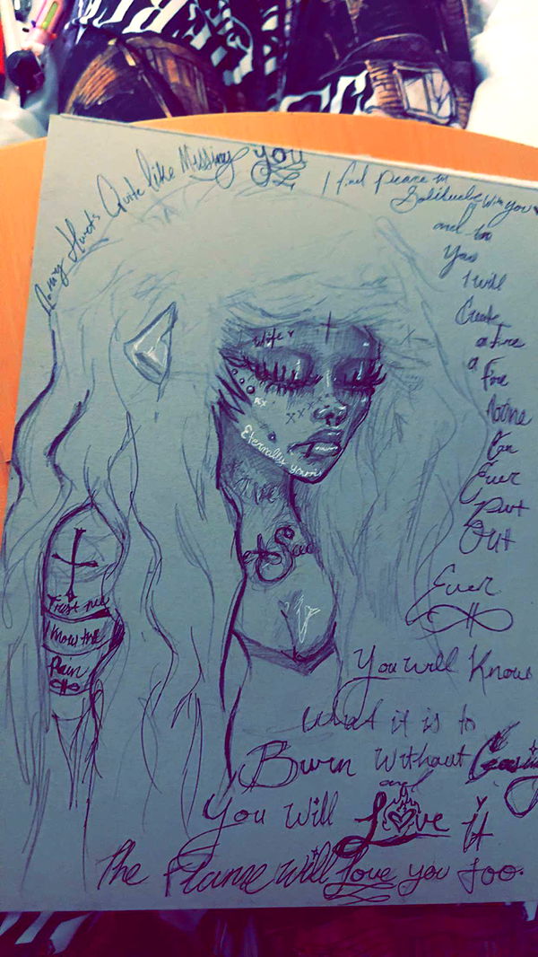 endangerdreamer image ~ Altpins