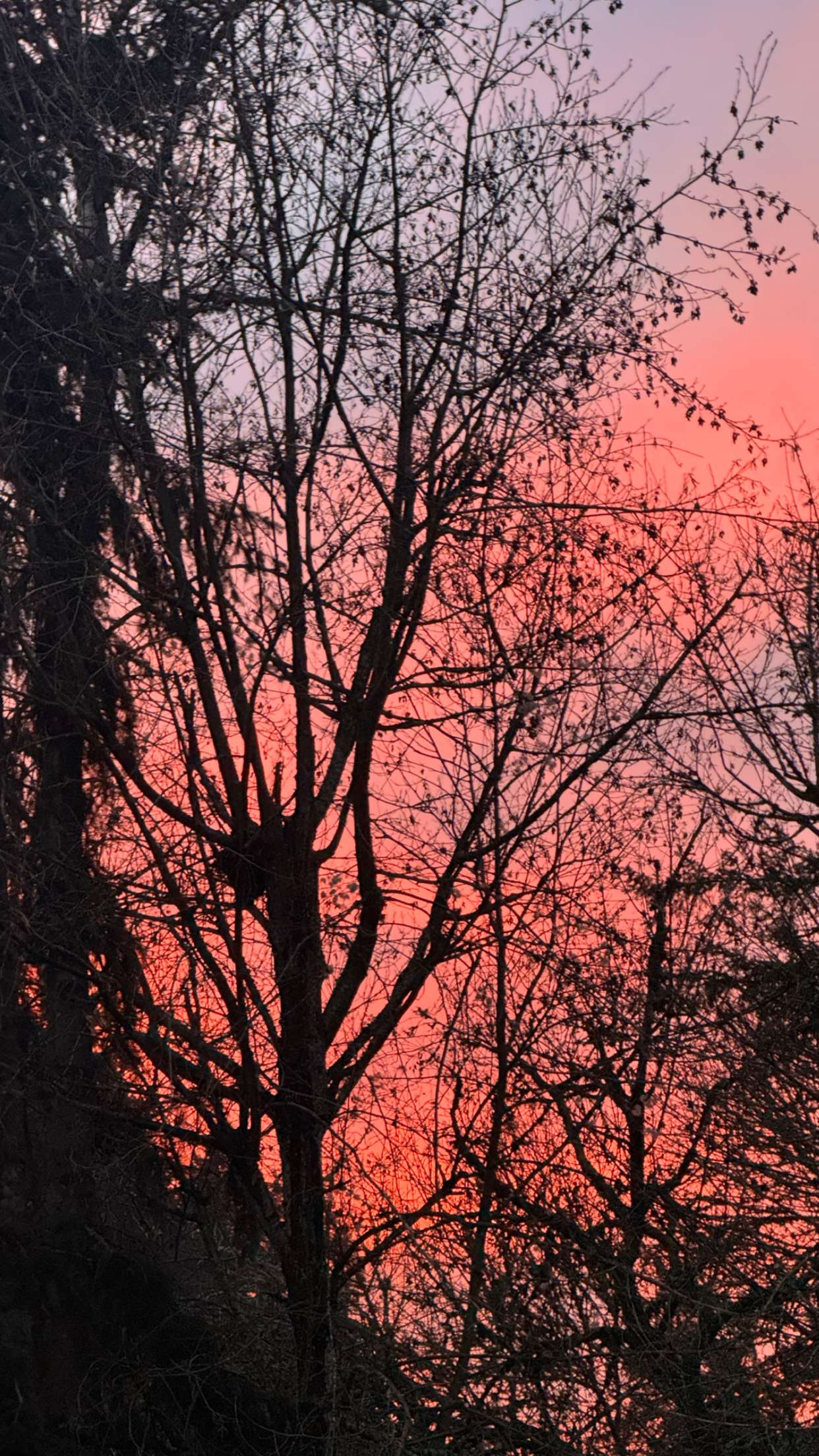 endangerdreamer snapchat image archive image