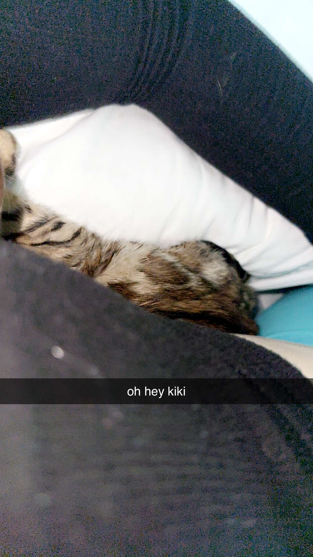 endangerdreamer snapchat image archive image