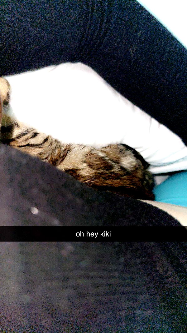 endangerdreamer image ~ Altpins