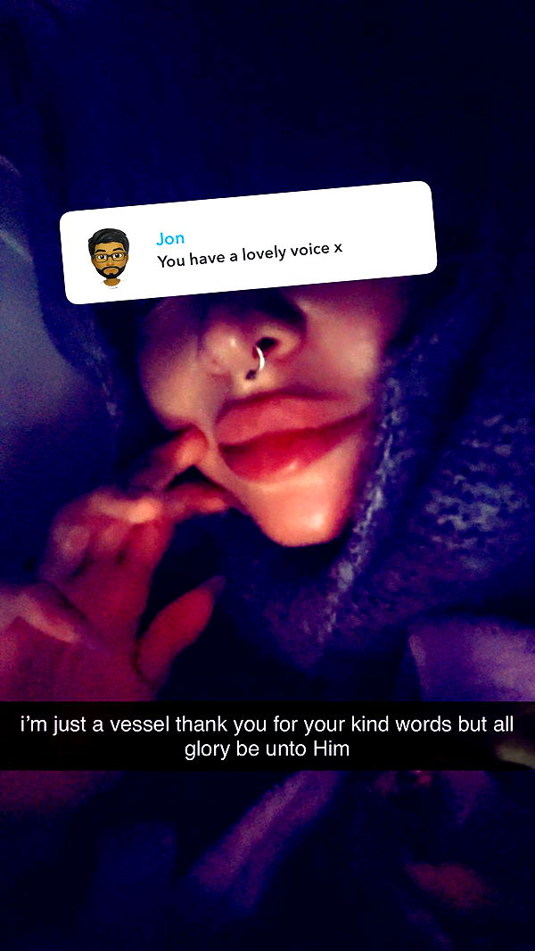 endangerdreamer image ~ Altpins