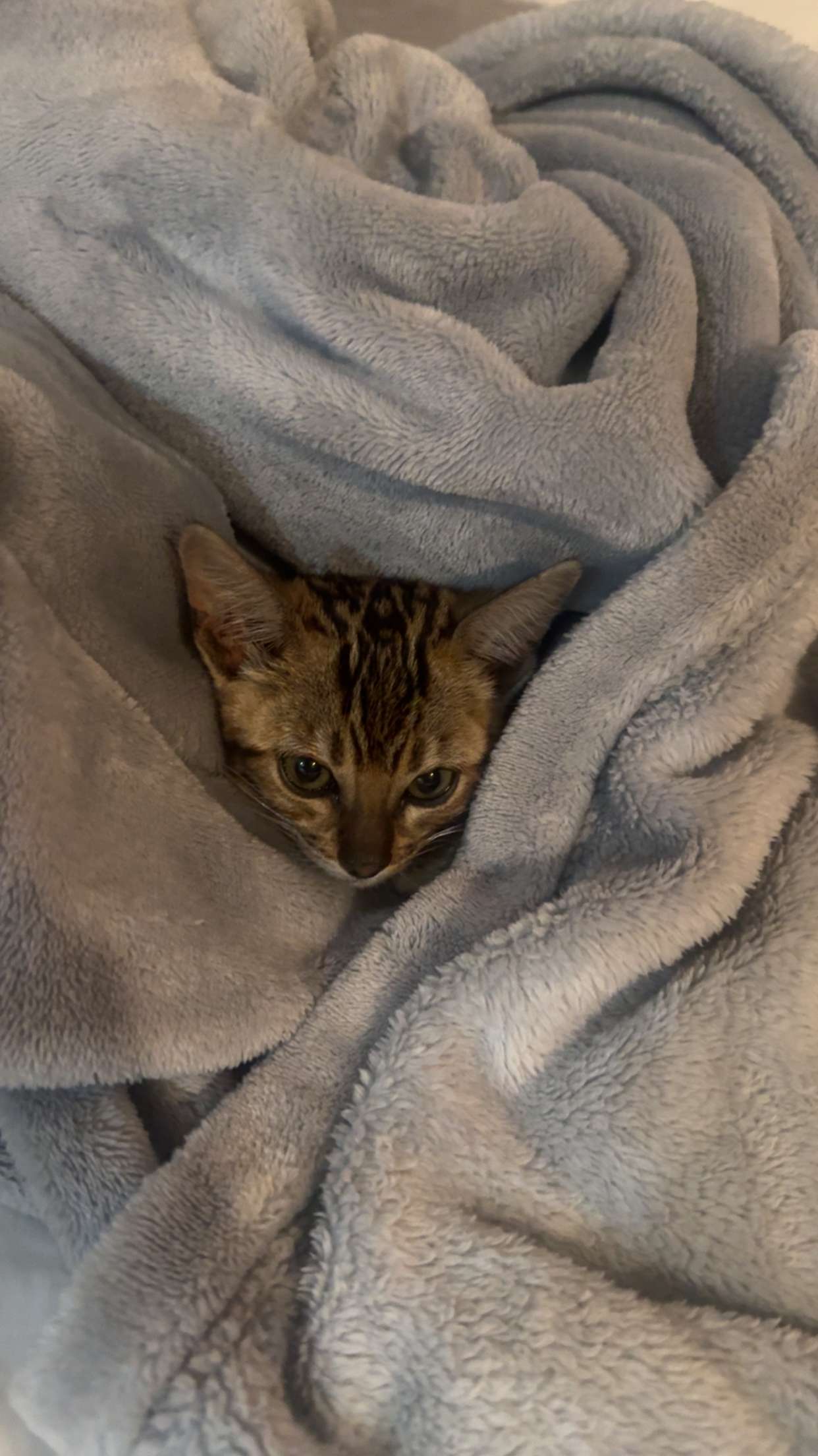 endangerdreamer snapchat image archive image