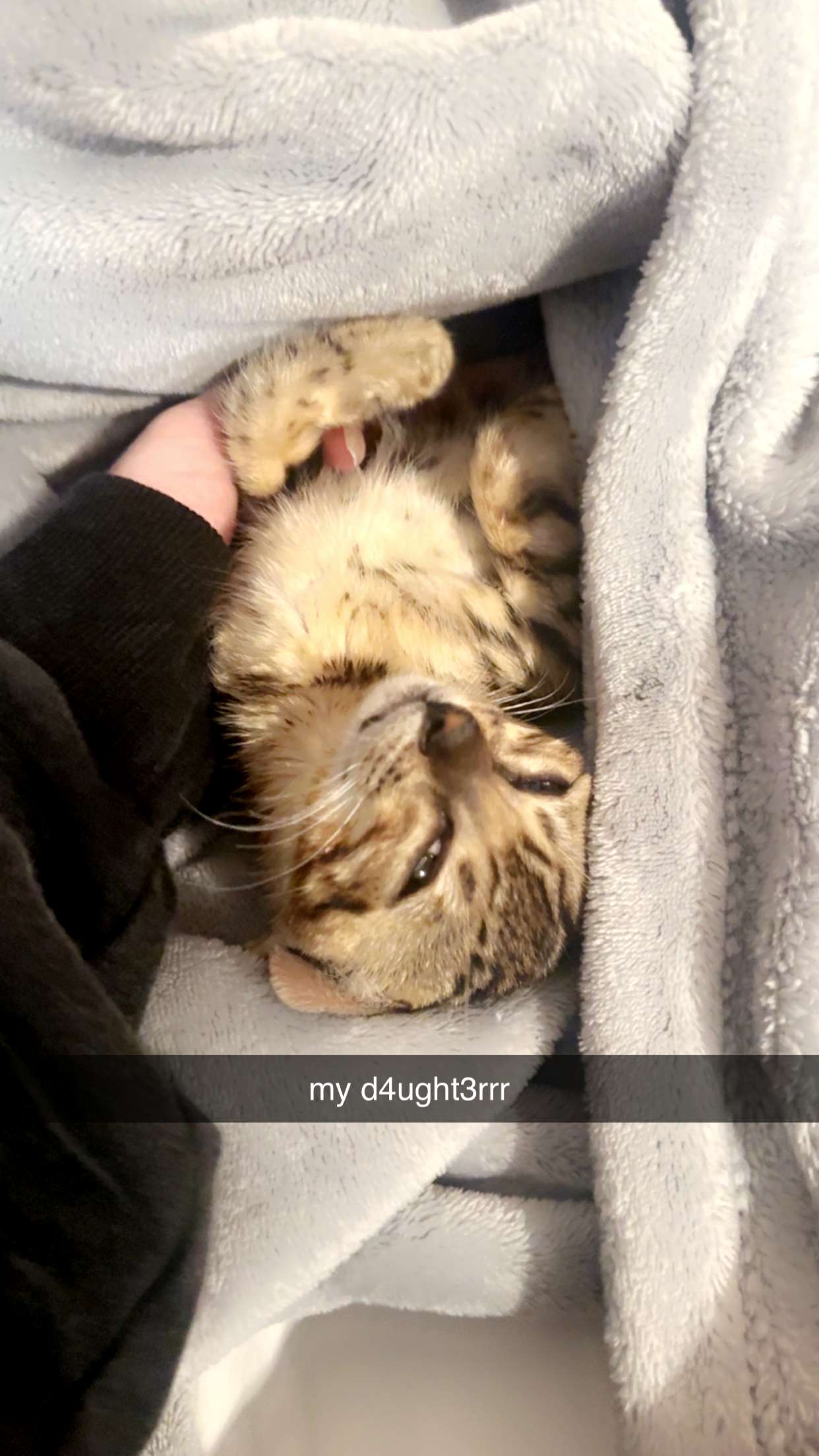 endangerdreamer snapchat image archive image