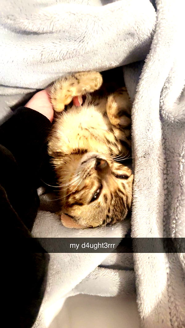 endangerdreamer image ~ Altpins