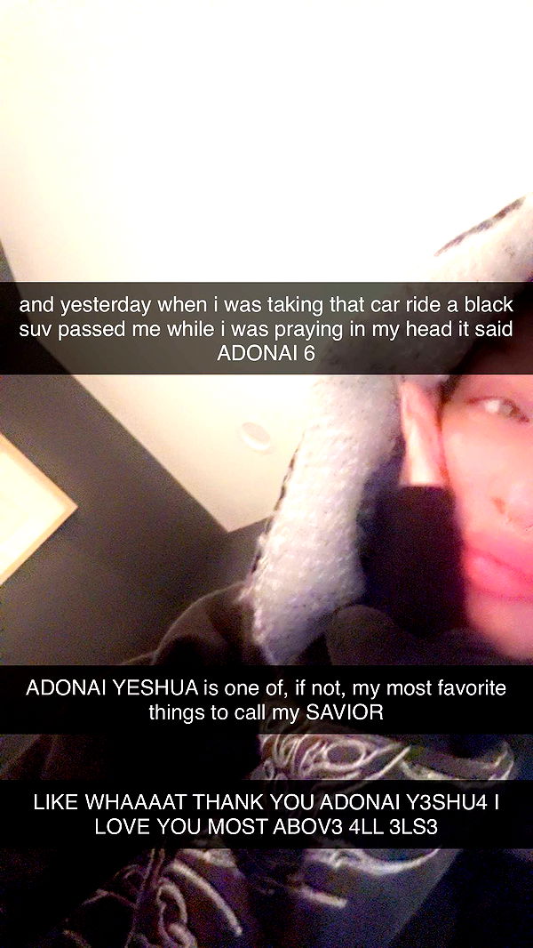 endangerdreamer image ~ Altpins