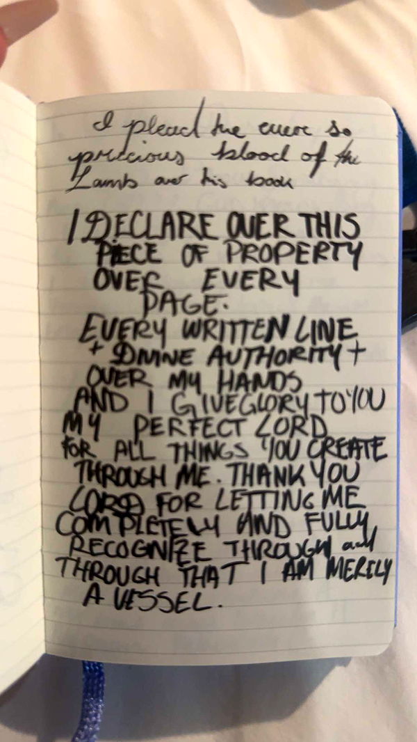 endangerdreamer image ~ Altpins