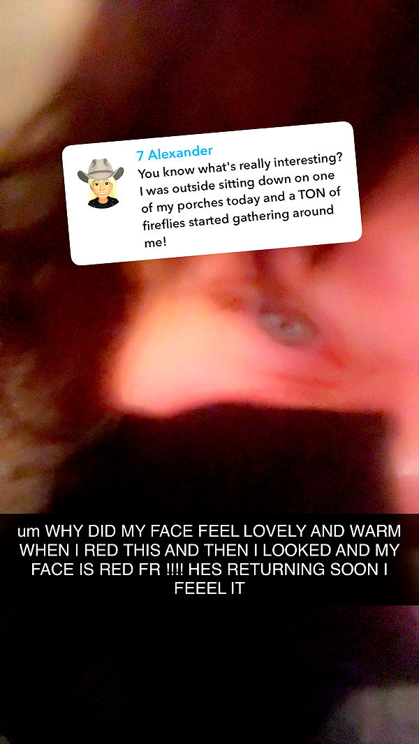 endangerdreamer image ~ Altpins