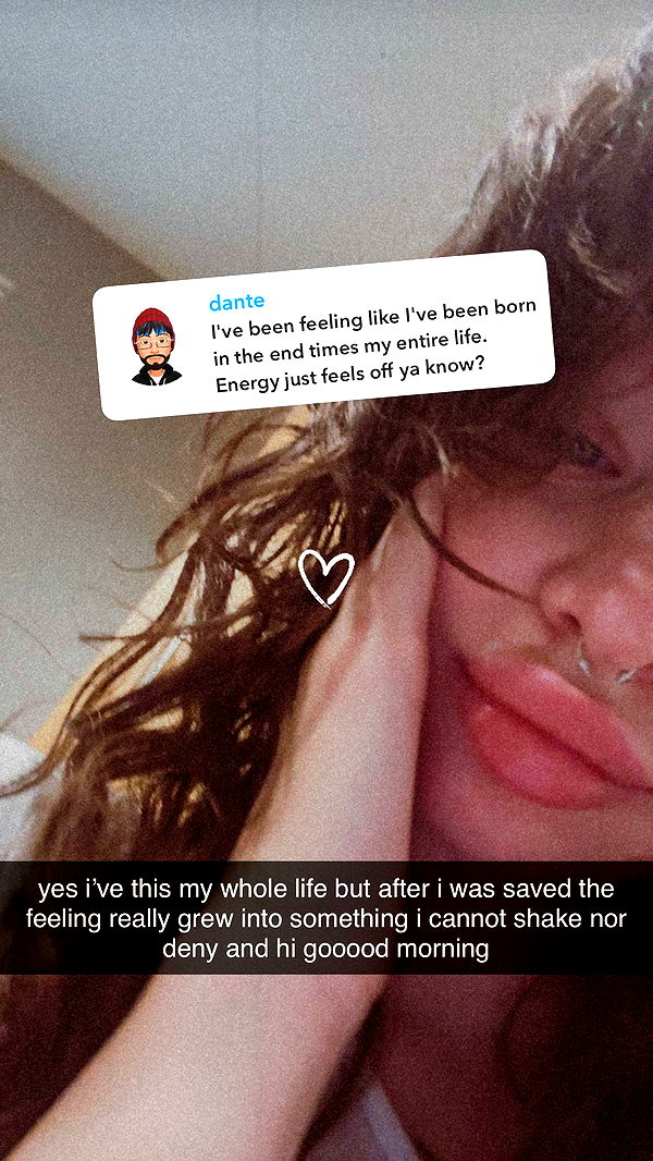 endangerdreamer image ~ Altpins