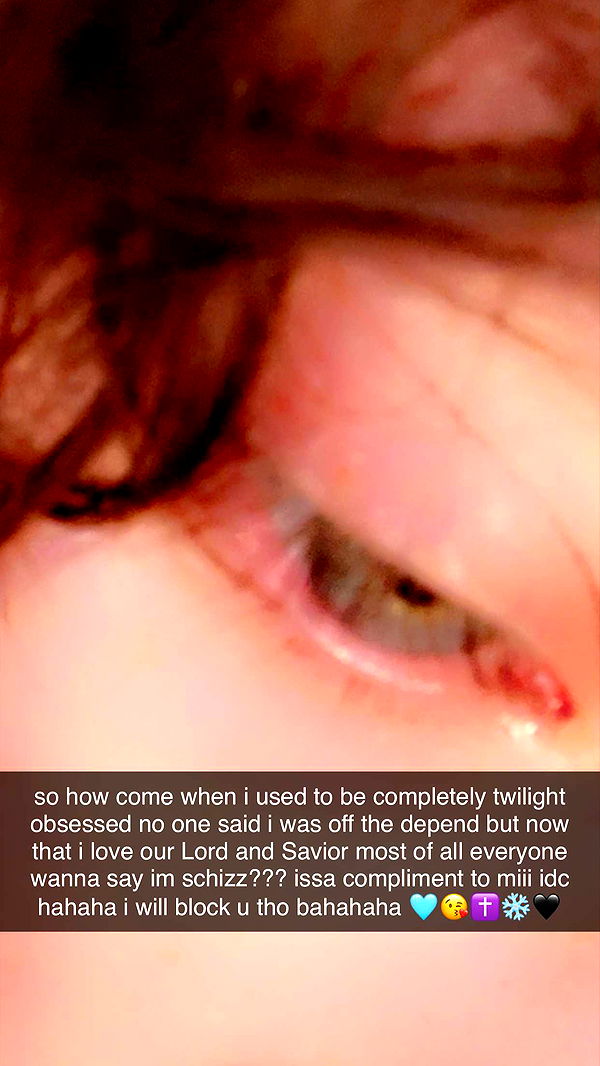 endangerdreamer image ~ Altpins