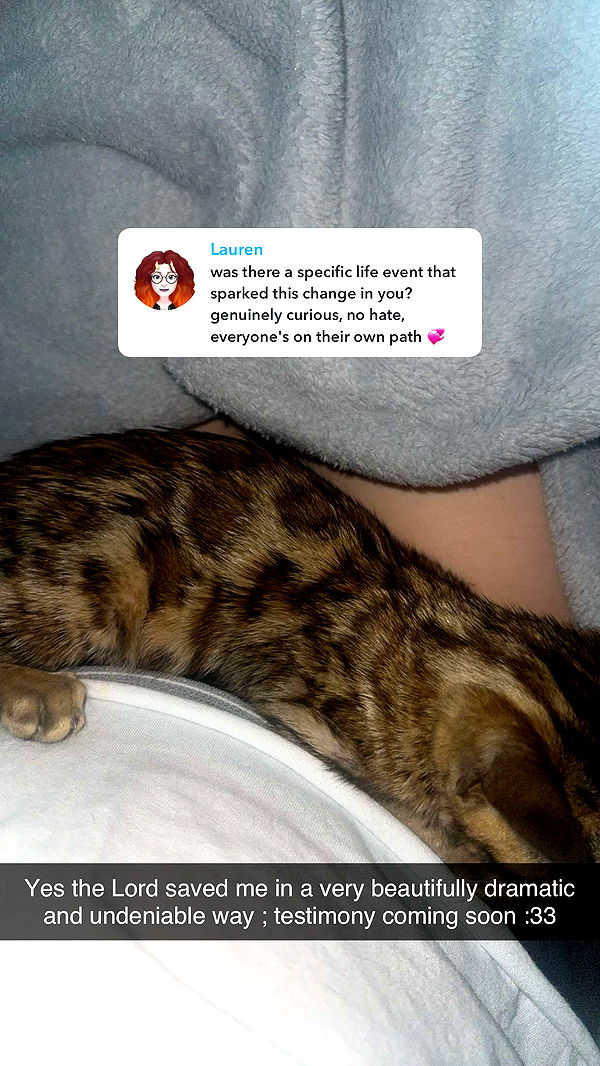 endangerdreamer image ~ Altpins