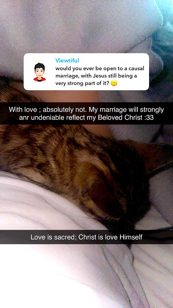 endangerdreamer image ~ Altpins