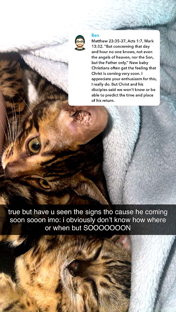 endangerdreamer image ~ Altpins