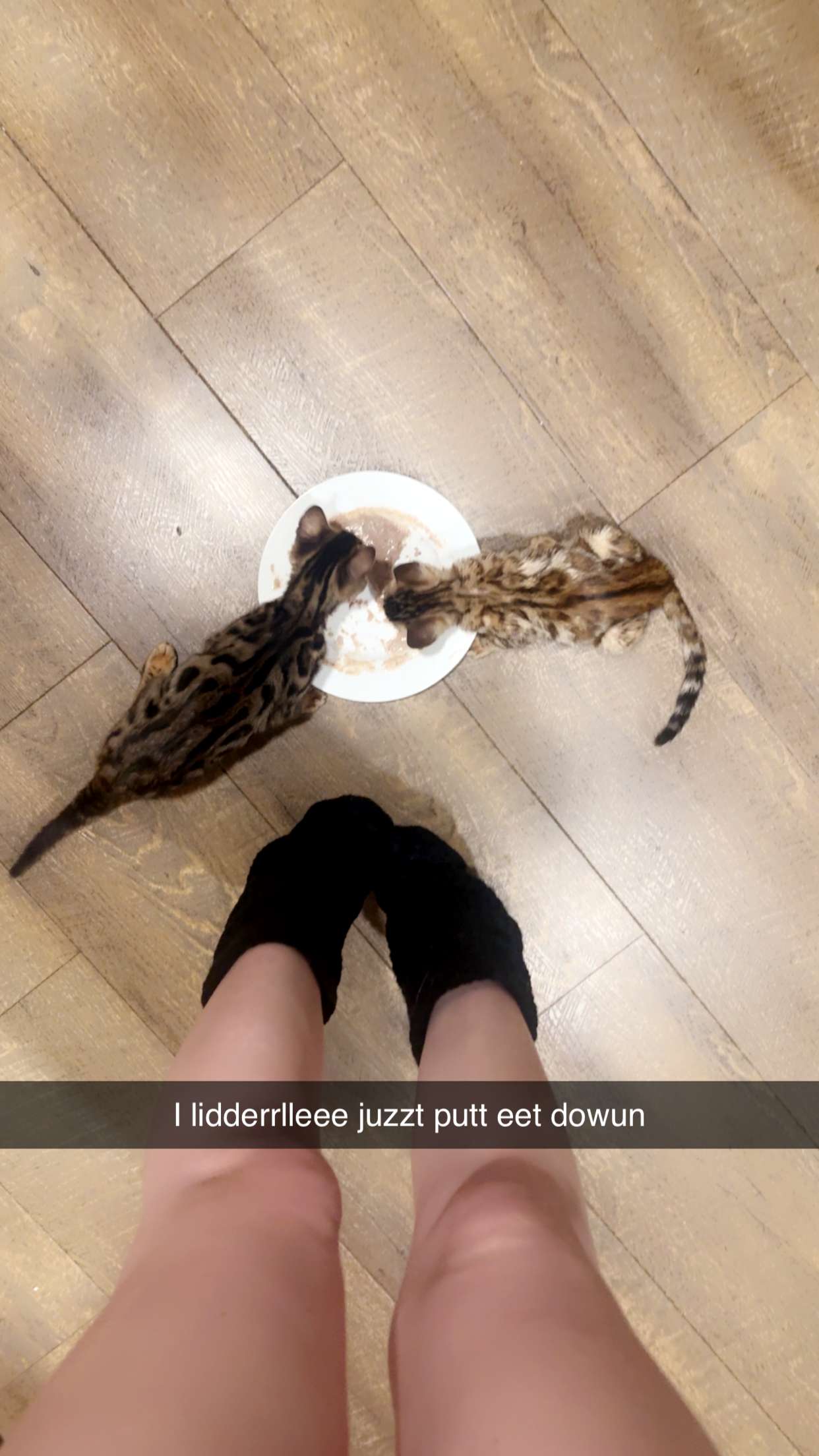 endangerdreamer snapchat image archive image