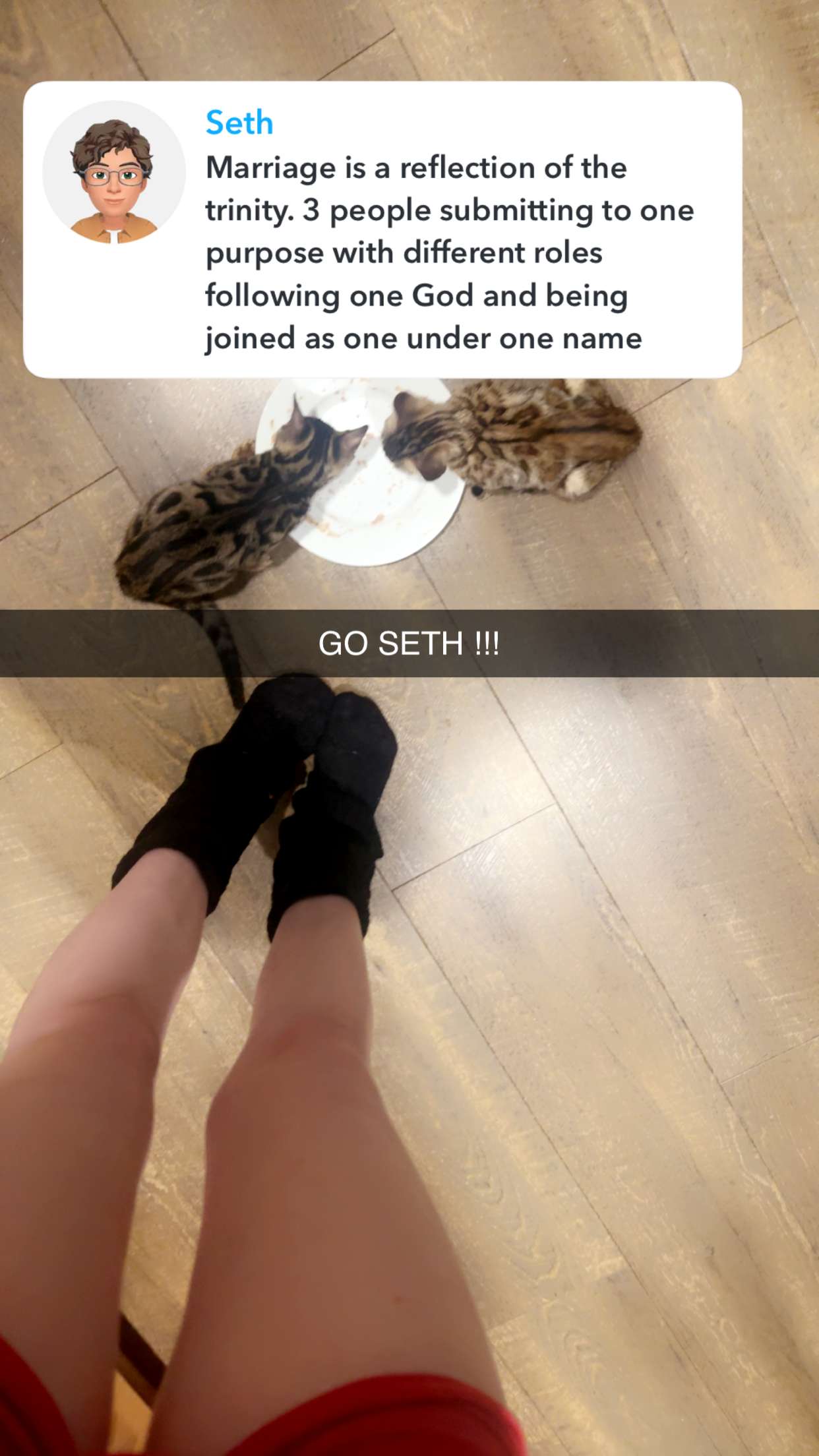 endangerdreamer snapchat image archive image