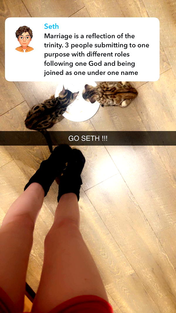 endangerdreamer image ~ Altpins