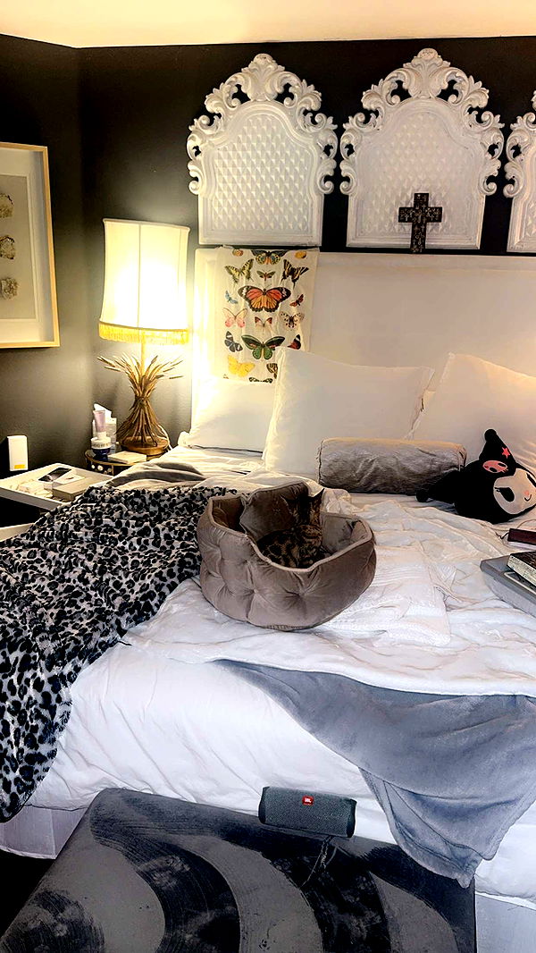 endangerdreamer image ~ Altpins