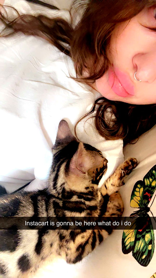 endangerdreamer image ~ Altpins