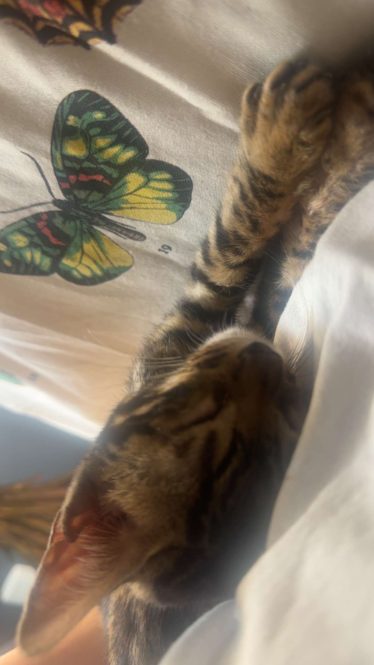 endangerdreamer snapchat image archive image