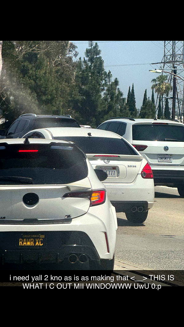 endangerdreamer image ~ Altpins