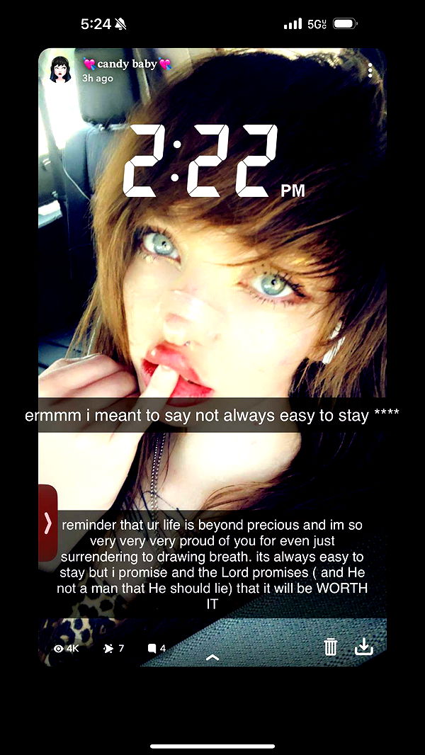 endangerdreamer image ~ Altpins