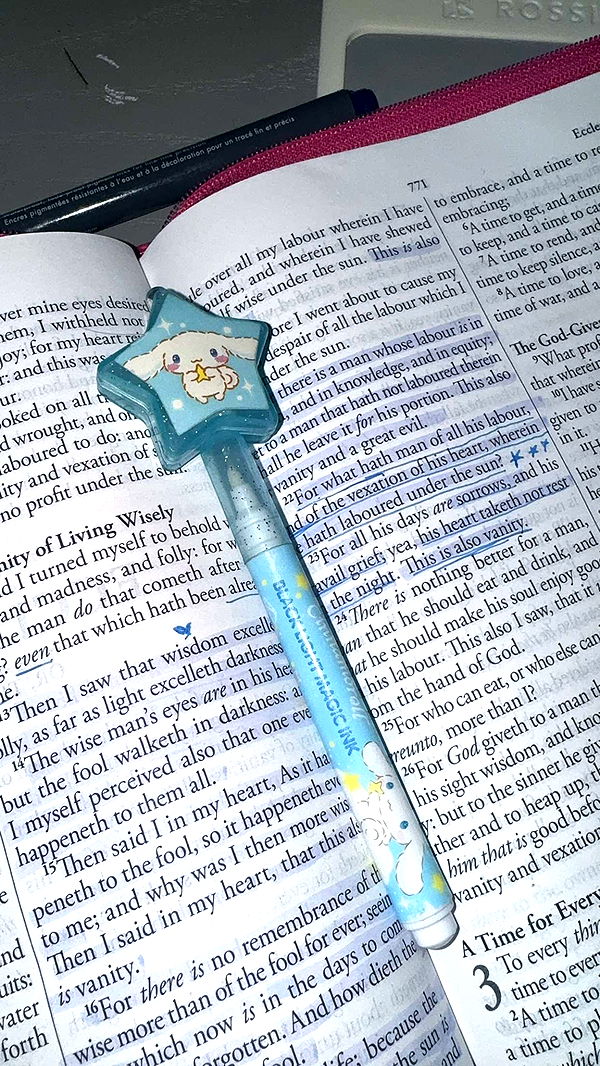 endangerdreamer image ~ Altpins