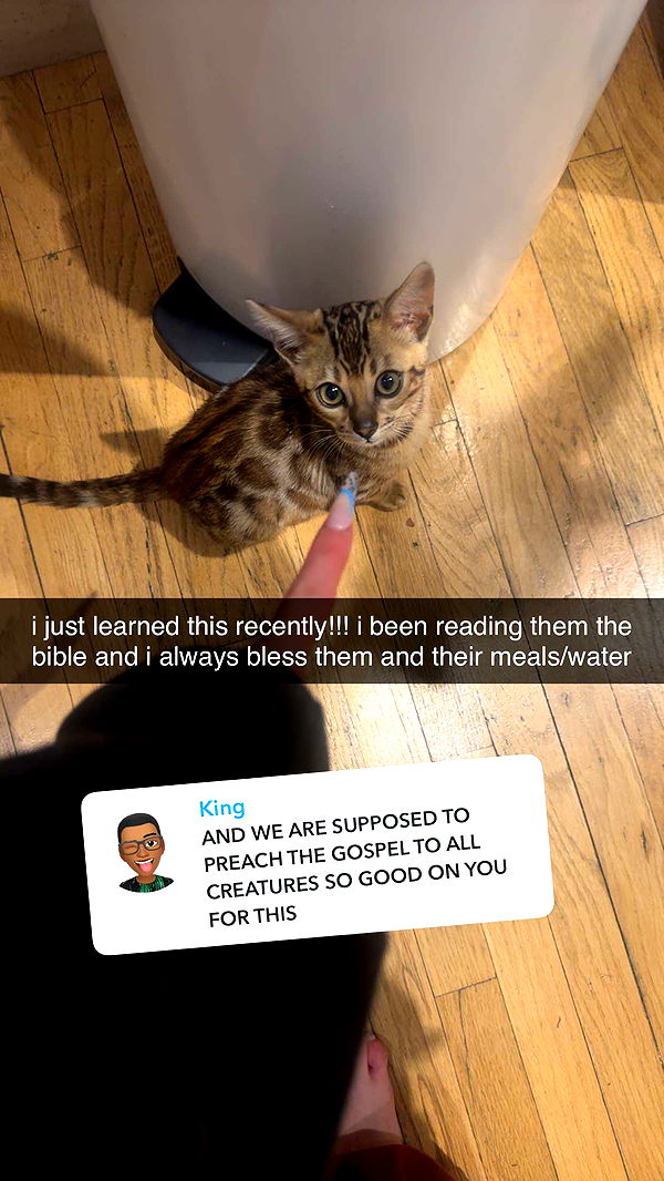 endangerdreamer image ~ Altpins