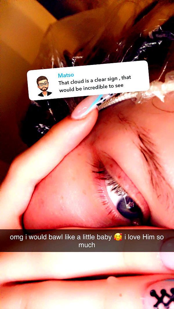 endangerdreamer image ~ Altpins