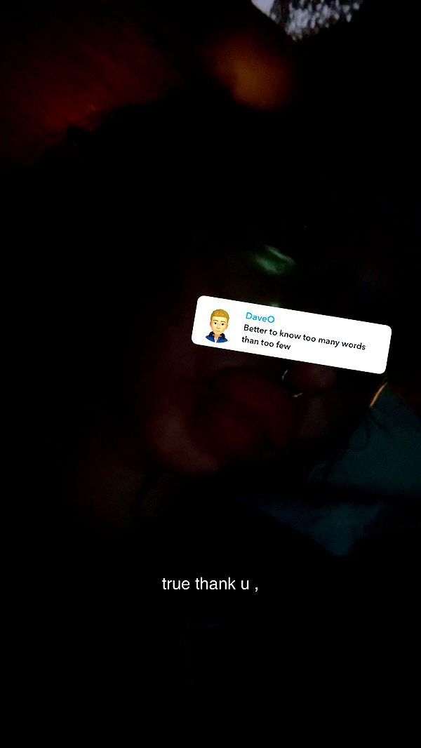 endangerdreamer image ~ Altpins