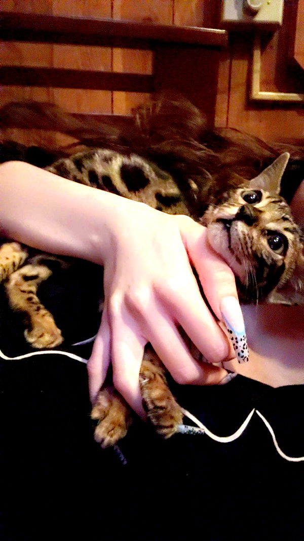 endangerdreamer image ~ Altpins