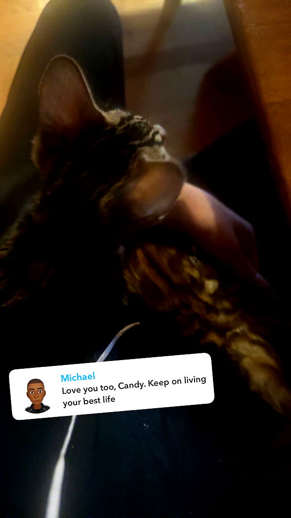 endangerdreamer image ~ Altpins