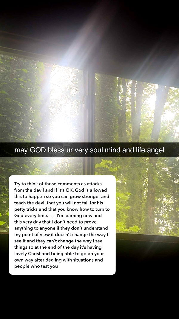 endangerdreamer image ~ Altpins