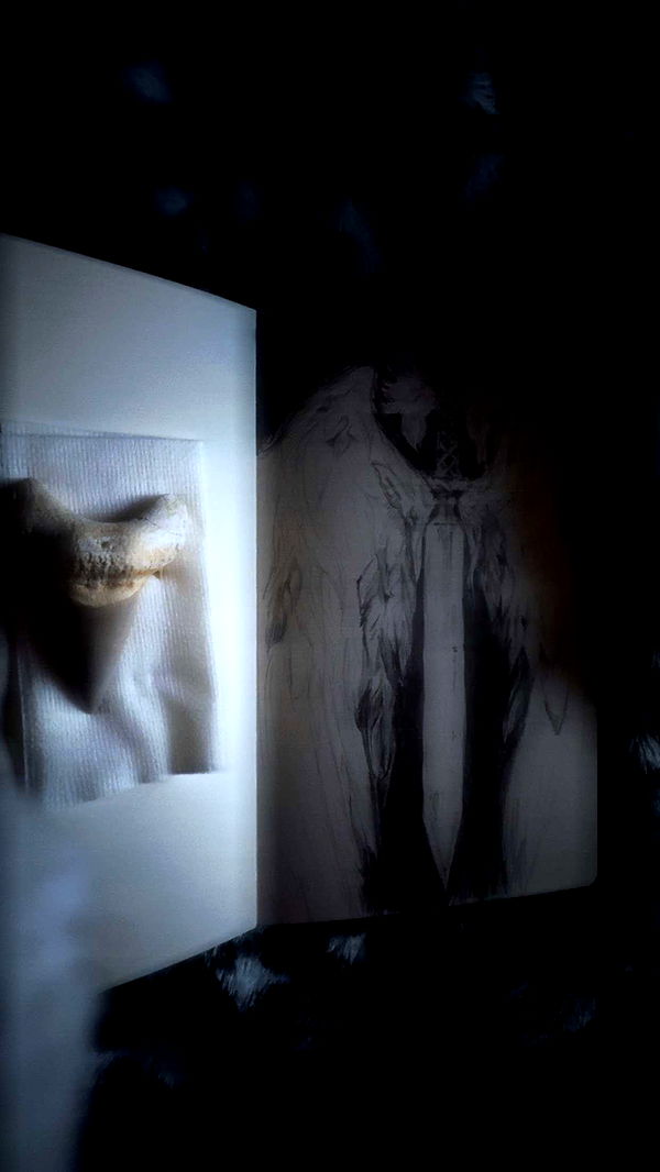 endangerdreamer image ~ Altpins