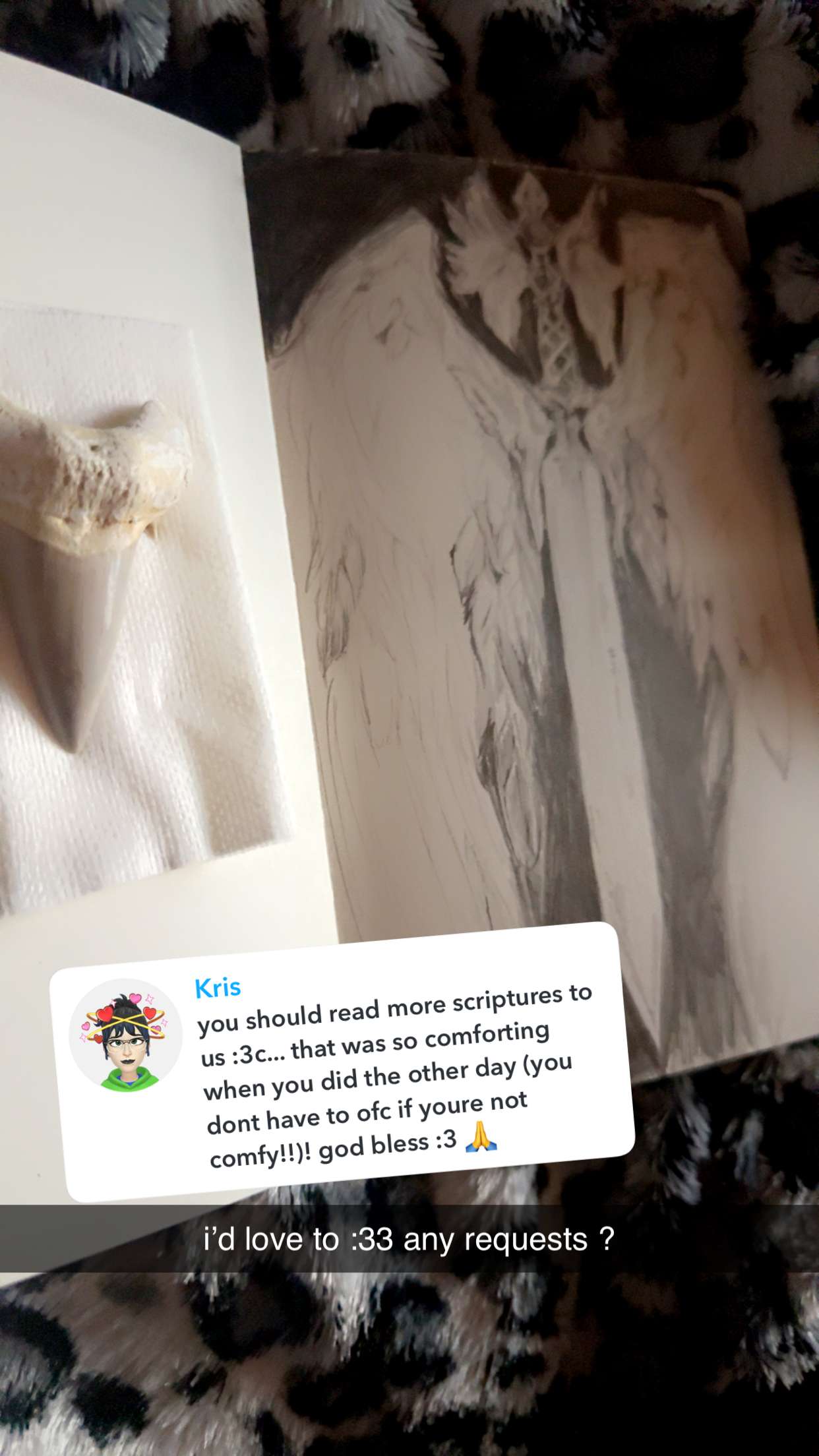 endangerdreamer snapchat image archive image