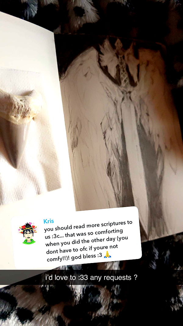 endangerdreamer image ~ Altpins