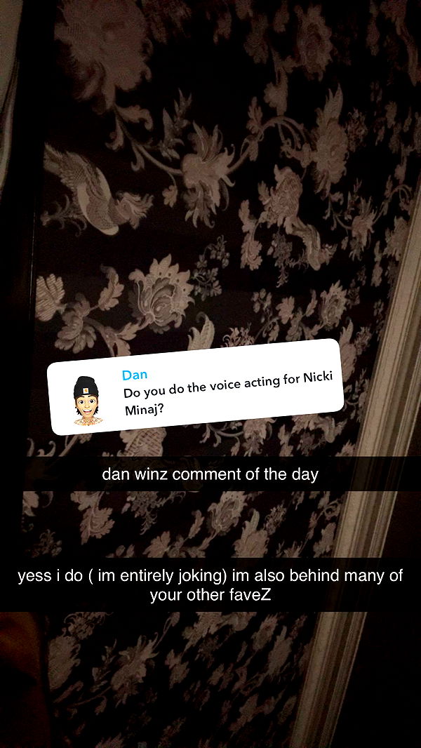 endangerdreamer image ~ Altpins