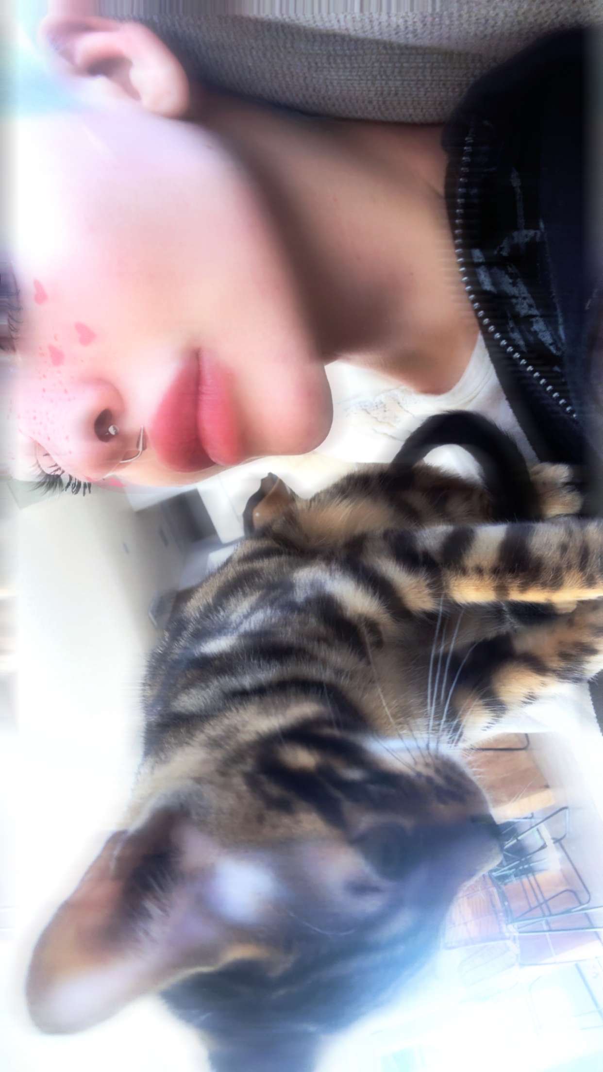 endangerdreamer snapchat image archive image