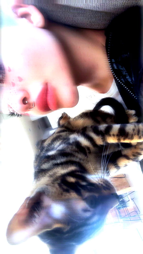 endangerdreamer image ~ Altpins