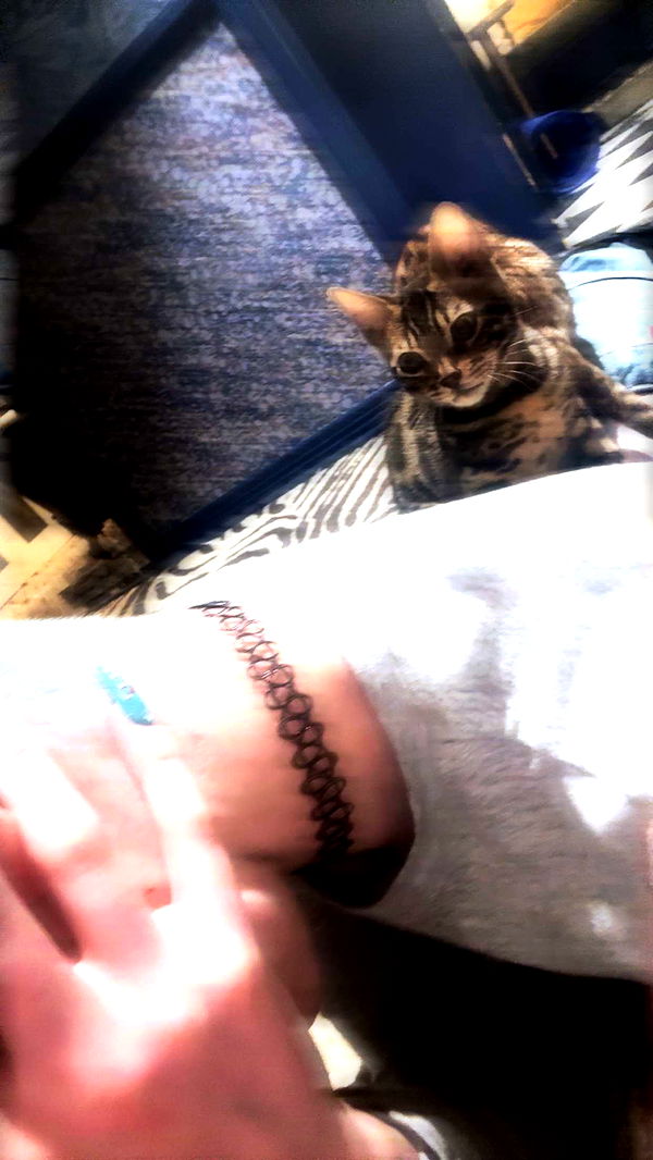 endangerdreamer image ~ Altpins