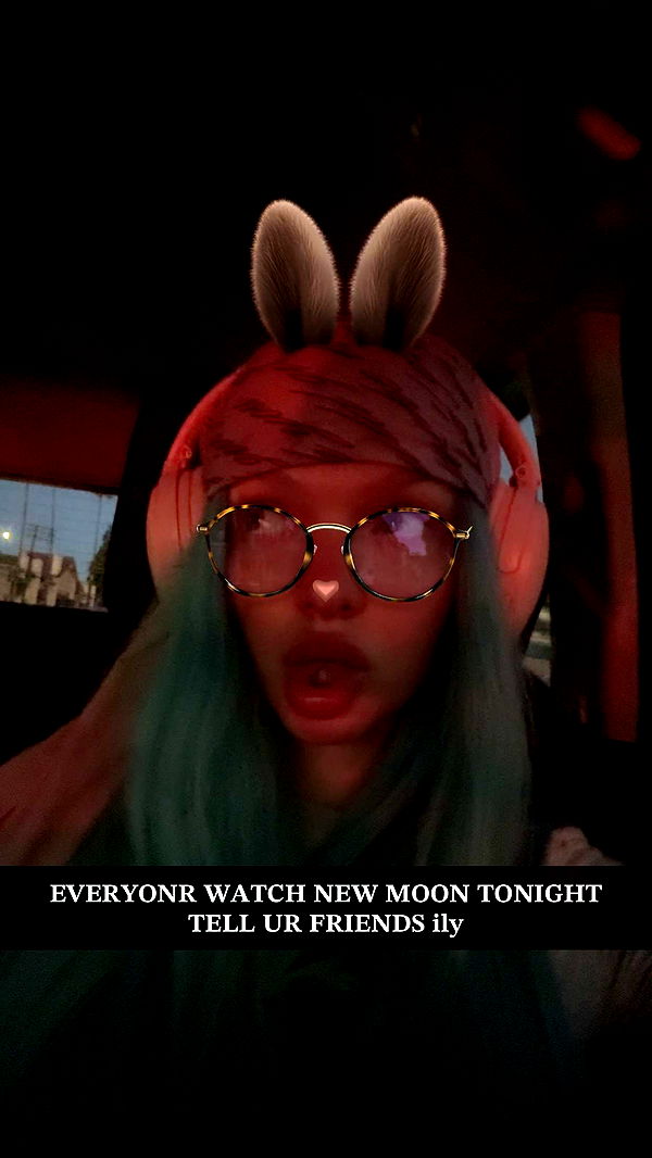 endangerdreamer image ~ Altpins