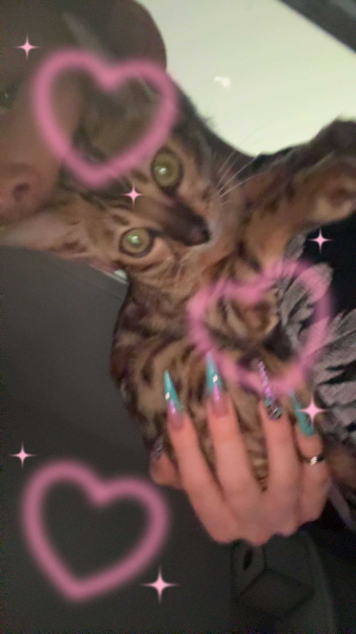 endangerdreamer snapchat image archive image