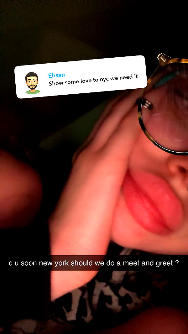 endangerdreamer image ~ Altpins