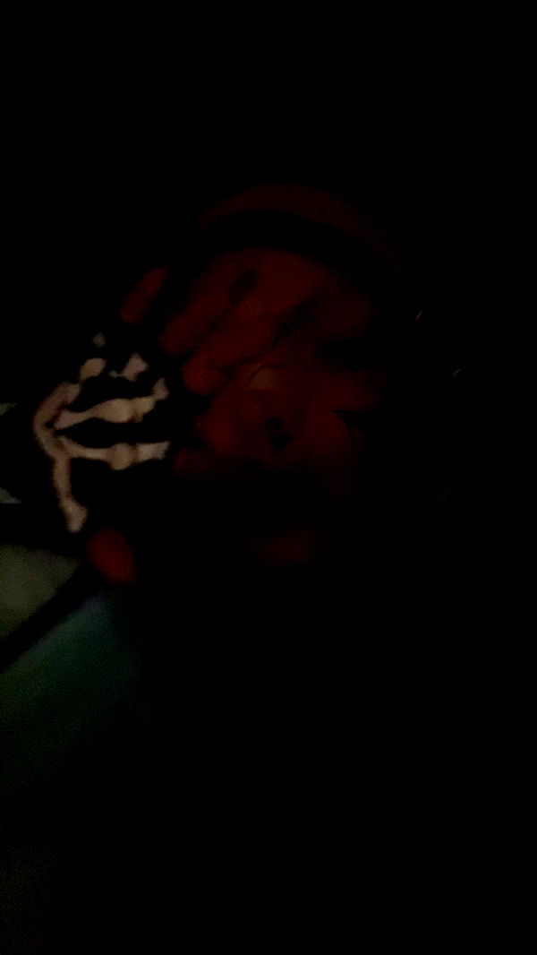 endangerdreamer image ~ Altpins