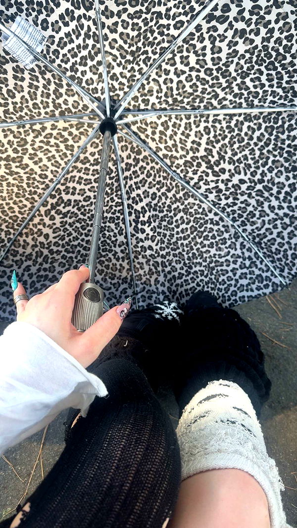 endangerdreamer image ~ Altpins