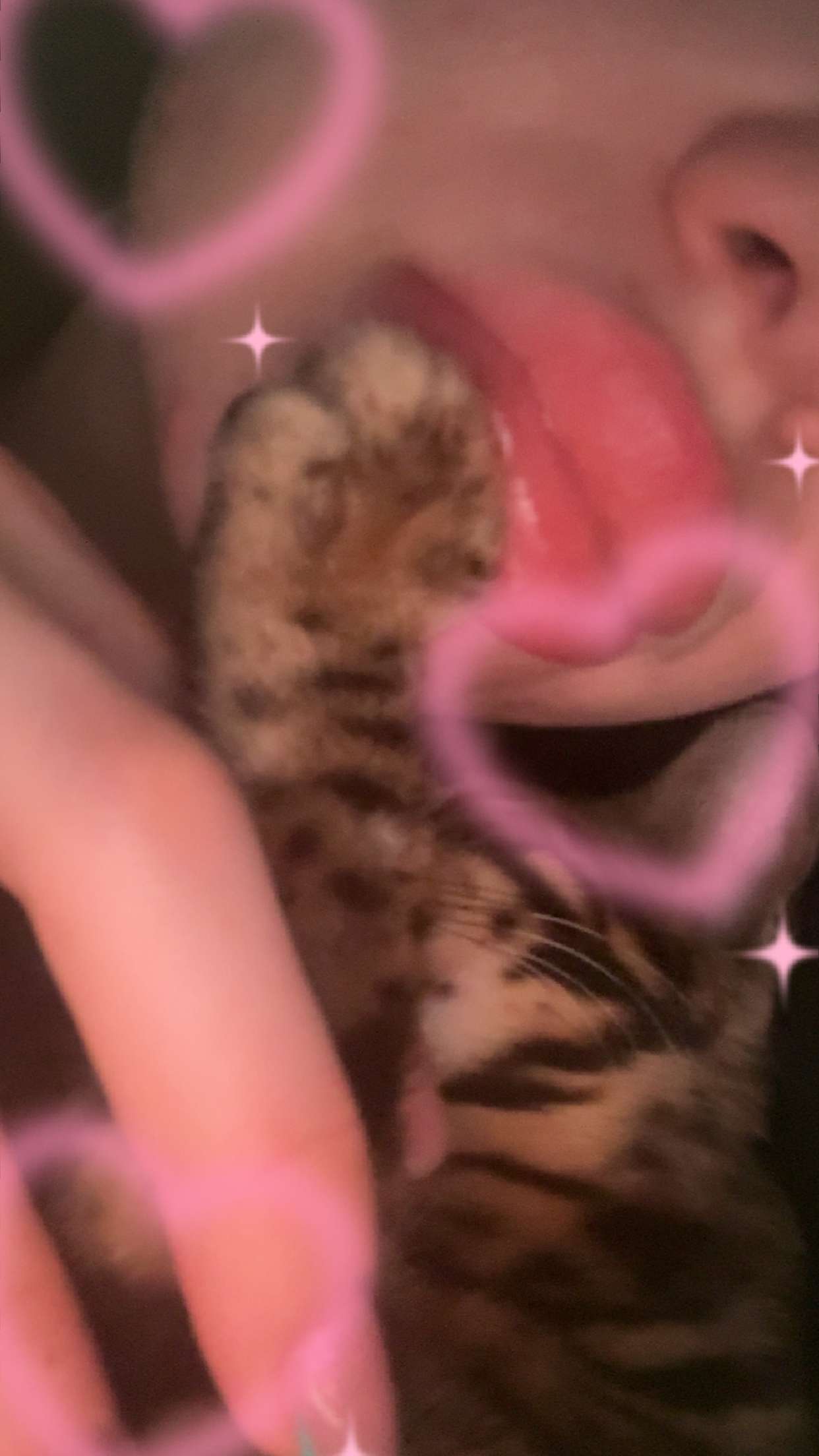 endangerdreamer snapchat image archive image