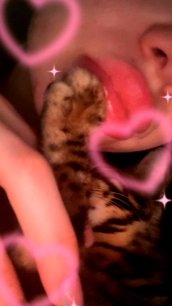 endangerdreamer image ~ Altpins