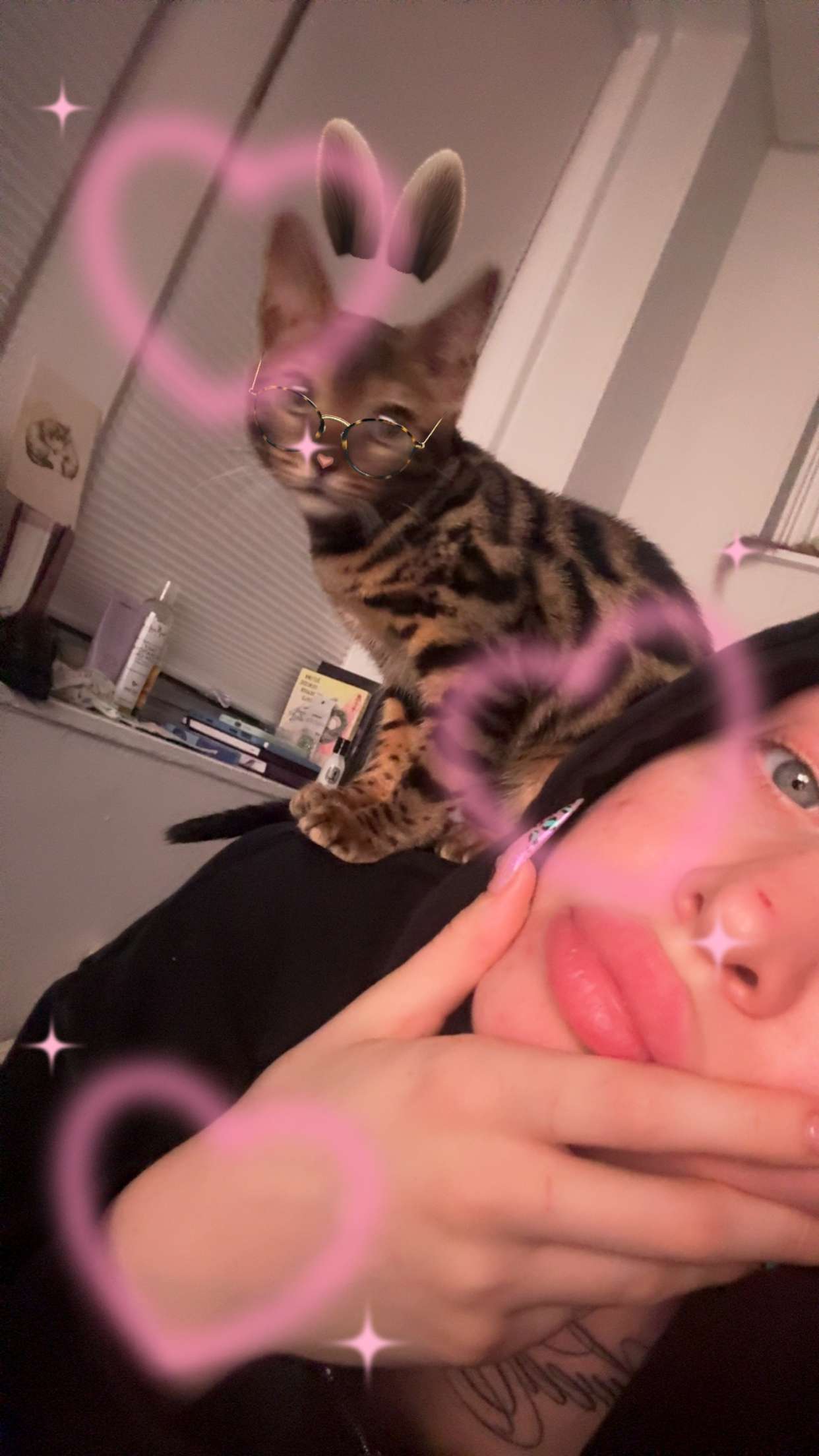 endangerdreamer snapchat image archive image