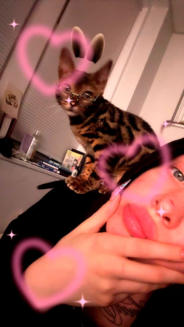 endangerdreamer image ~ Altpins